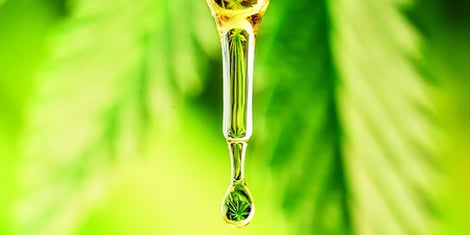 cbd oil